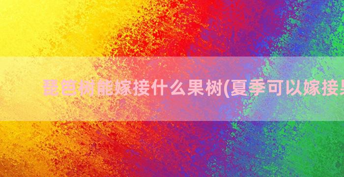 琵笆树能嫁接什么果树(夏季可以嫁接果树吗)