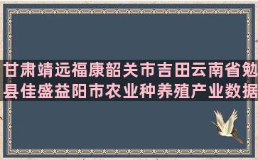 甘肃靖远福康韶关市吉田云南省勉县佳盛益阳市农业种养殖产业数据