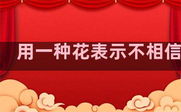 用一种花表示不相信爱情