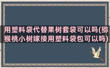 用塑料袋代替果树套袋可以吗(猕猴桃小树嫁接用塑料袋包可以吗)