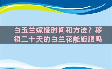 白玉兰嫁接时间和方法？移植二十天的白兰花能施肥吗