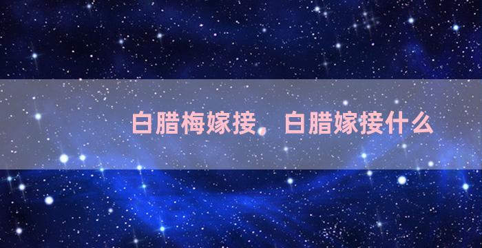 白腊梅嫁接，白腊嫁接什么