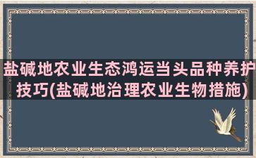 盐碱地农业生态鸿运当头品种养护技巧(盐碱地治理农业生物措施)