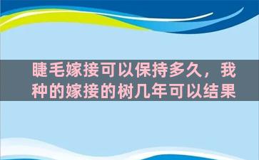 睫毛嫁接可以保持多久，我种的嫁接的树几年可以结果