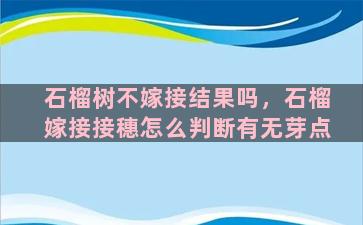 石榴树不嫁接结果吗，石榴嫁接接穗怎么判断有无芽点