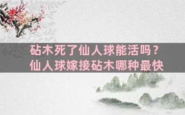 砧木死了仙人球能活吗？仙人球嫁接砧木哪种最快