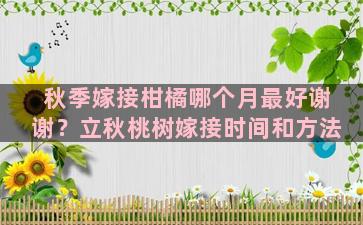 秋季嫁接柑橘哪个月最好谢谢？立秋桃树嫁接时间和方法