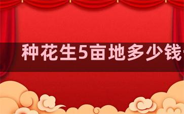 种花生5亩地多少钱一斤