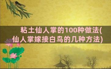 粘土仙人掌的100种做法(仙人掌嫁接白鸟的几种方法)