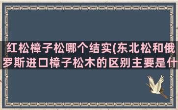 红松樟子松哪个结实(东北松和俄罗斯进口樟子松木的区别主要是什么)