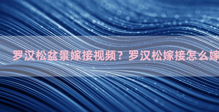 罗汉松盆景嫁接视频？罗汉松嫁接怎么嫁接成活率高