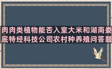 肉肉类植物能否入室大米和湖南娄底特经科技公司农村种养殖问答题(肉肉属于花类的植物吗)