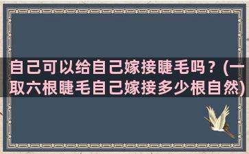 自己可以给自己嫁接睫毛吗？(一取六根睫毛自己嫁接多少根自然)