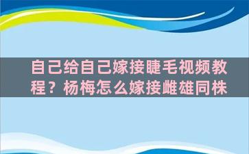 自己给自己嫁接睫毛视频教程？杨梅怎么嫁接雌雄同株