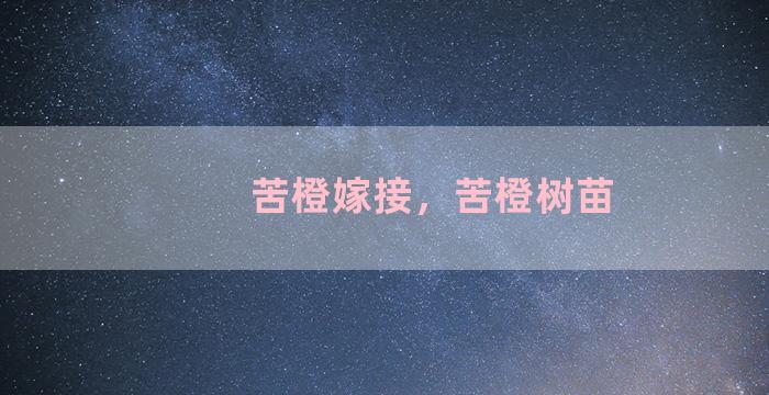 苦橙嫁接，苦橙树苗