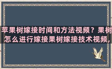 苹果树嫁接时间和方法视频？果树怎么进行嫁接果树嫁接技术视频,嫁接方法图解