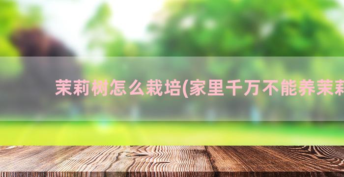 茉莉树怎么栽培(家里千万不能养茉莉花)