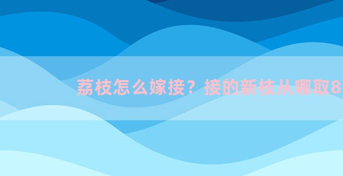 荔枝怎么嫁接？接的新枝从哪取8