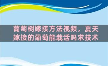 葡萄树嫁接方法视频，夏天嫁接的葡萄能栽活吗求技术