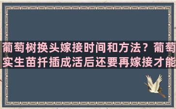 葡萄树换头嫁接时间和方法？葡萄实生苗扦插成活后还要再嫁接才能结果吗