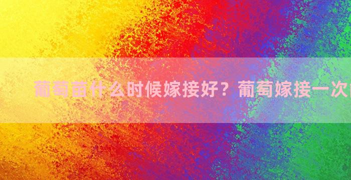 葡萄苗什么时候嫁接好？葡萄嫁接一次能结果吗