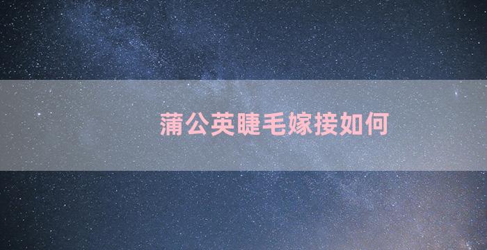 蒲公英睫毛嫁接如何