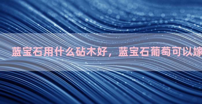 蓝宝石用什么砧木好，蓝宝石葡萄可以嫁接几年结果