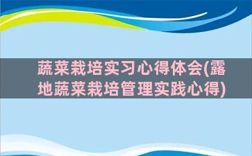 蔬菜栽培实习心得体会(露地蔬菜栽培管理实践心得)