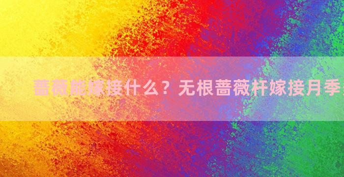 蔷薇能嫁接什么？无根蔷薇杆嫁接月季多久生根