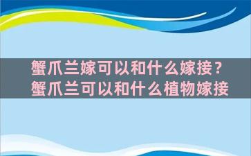 蟹爪兰嫁可以和什么嫁接？蟹爪兰可以和什么植物嫁接