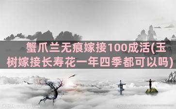 蟹爪兰无痕嫁接100成活(玉树嫁接长寿花一年四季都可以吗)