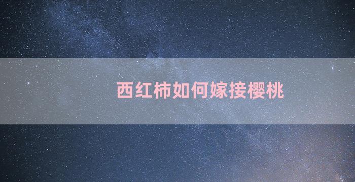 西红柿如何嫁接樱桃