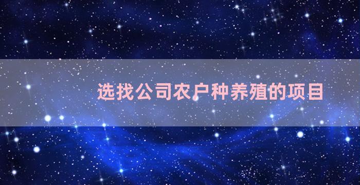 选找公司农户种养殖的项目