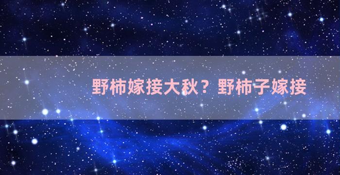 野柿嫁接大秋？野柿子嫁接