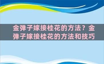 金弹子嫁接桂花的方法？金弹子嫁接桂花的方法和技巧