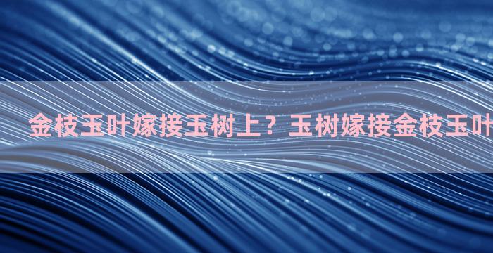 金枝玉叶嫁接玉树上？玉树嫁接金枝玉叶多久能发芽