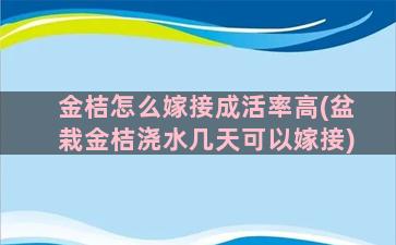 金桔怎么嫁接成活率高(盆栽金桔浇水几天可以嫁接)