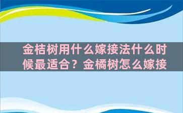 金桔树用什么嫁接法什么时候最适合？金橘树怎么嫁接