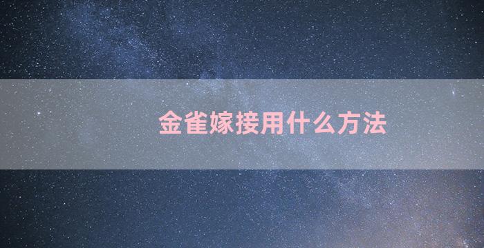 金雀嫁接用什么方法