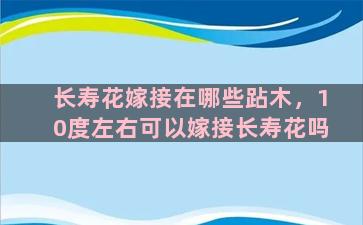 长寿花嫁接在哪些跕木，10度左右可以嫁接长寿花吗