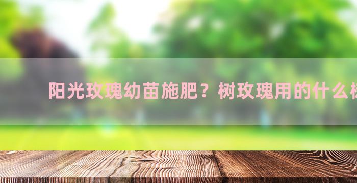 阳光玫瑰幼苗施肥？树玫瑰用的什么树嫁接