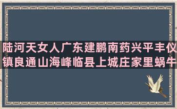 陆河天女人广东建鹏南药兴平丰仪镇良通山海峰临县上城庄家里蜗牛有5种养法图片