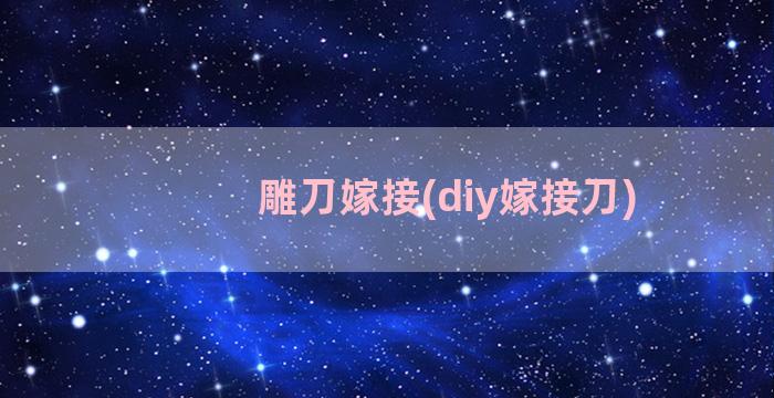 雕刀嫁接(diy嫁接刀)