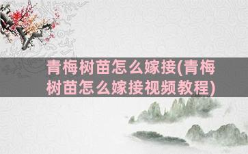 青梅树苗怎么嫁接(青梅树苗怎么嫁接视频教程)