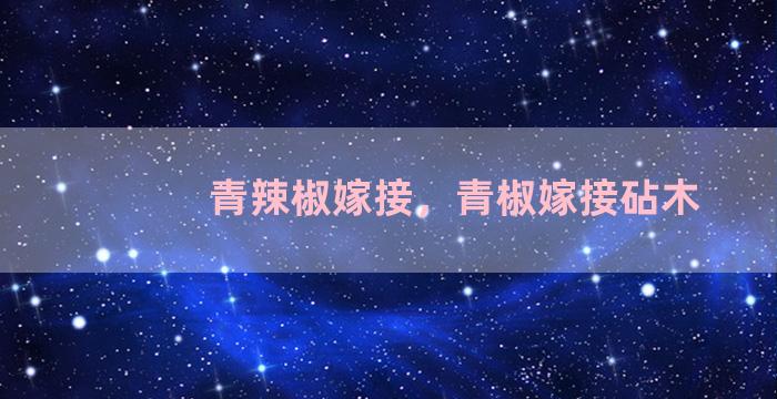 青辣椒嫁接，青椒嫁接砧木