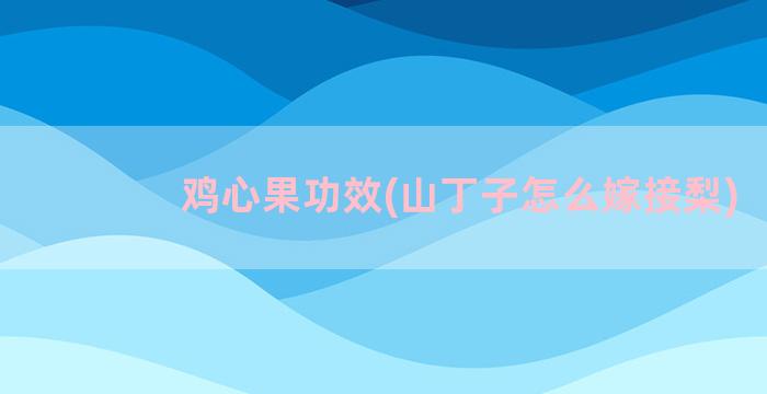 鸡心果功效(山丁子怎么嫁接梨)