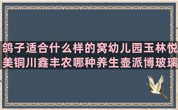 鸽子适合什么样的窝幼儿园玉林悦美铜川鑫丰农哪种养生壶派博玻璃好用(鸽子适合什么样的人群吃)