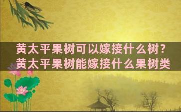 黄太平果树可以嫁接什么树？黄太平果树能嫁接什么果树类