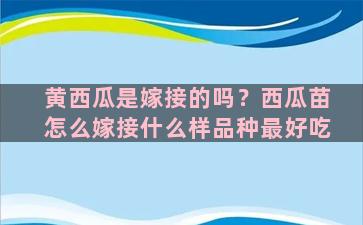 黄西瓜是嫁接的吗？西瓜苗怎么嫁接什么样品种最好吃